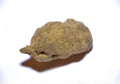 Moonrock